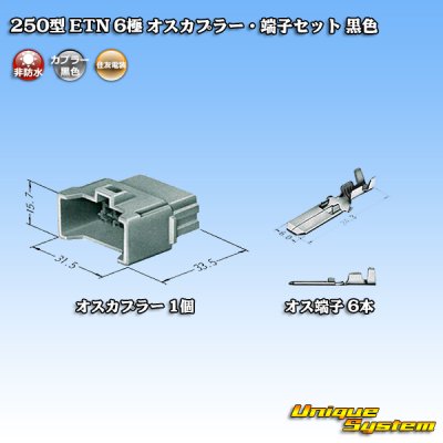 Photo4: [Sumitomo Wiring Systems] 250-type ETN non-waterproof 6-pole male-coupler & terminal set (black)