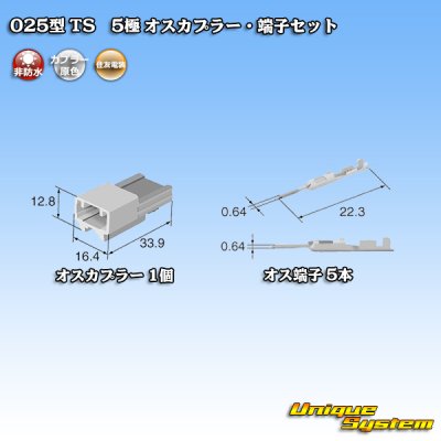 Photo4: [Sumitomo Wiring Systems] 025-type TS non-waterproof 5-pole male-coupler & terminal set