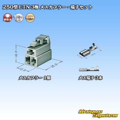 Photo4: [Sumitomo Wiring Systems] 250-type ETN non-waterproof 3-pole female-coupler & terminal set