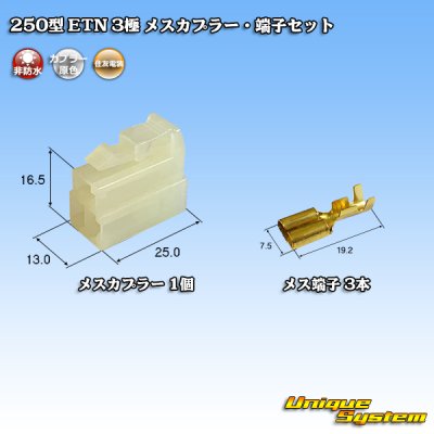 Photo1: [Sumitomo Wiring Systems] 250-type ETN non-waterproof 3-pole female-coupler & terminal set