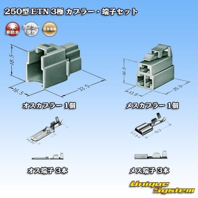 Photo5: [Sumitomo Wiring Systems] 250-type ETN non-waterproof 3-pole coupler & terminal set