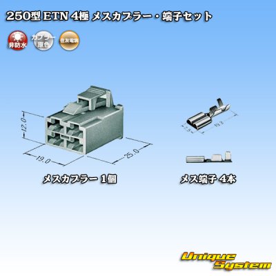 Photo4: [Sumitomo Wiring Systems] 250-type ETN non-waterproof 4-pole female-coupler & terminal set