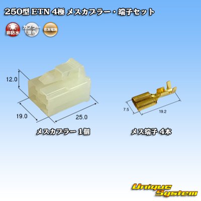 Photo1: [Sumitomo Wiring Systems] 250-type ETN non-waterproof 4-pole female-coupler & terminal set