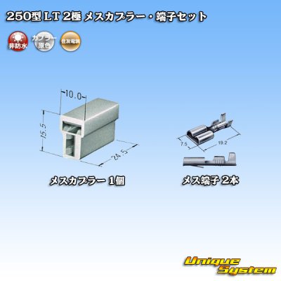 Photo4: [Sumitomo Wiring Systems] 250-type LT non-waterproof 2-pole female-coupler & terminal set