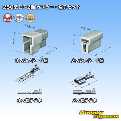 Photo5: [Sumitomo Wiring Systems] 250-type LT non-waterproof 2-pole coupler & terminal set