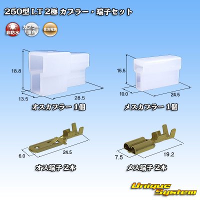 Photo1: [Sumitomo Wiring Systems] 250-type LT non-waterproof 2-pole coupler & terminal set