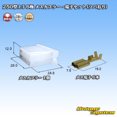 Photo1: [Sumitomo Wiring Systems] 250-type LT non-waterproof 6-pole female-coupler & terminal set (with brim)