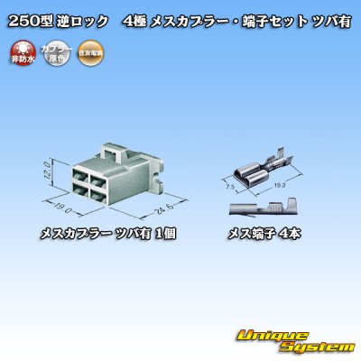 Photo4: [Sumitomo Wiring Systems] 250-type reverse-lock non-waterproof with brim 4-pole female-coupler & terminal set