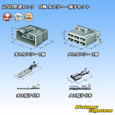 Photo5: [Sumitomo Wiring Systems] 250-type reverse-lock non-waterproof 6-pole coupler & terminal set