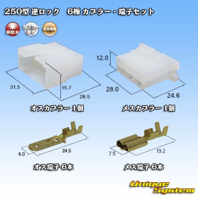 Photo1: [Sumitomo Wiring Systems] 250-type reverse-lock non-waterproof 6-pole coupler & terminal set