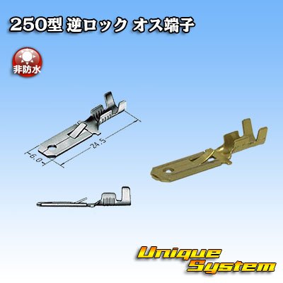 Photo1: [Sumitomo Wiring Systems] 250-type reverse-lock non-waterproof male-terminal