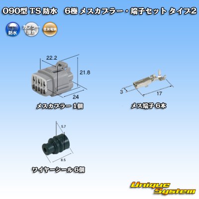 Photo1: [Sumitomo Wiring Systems] 090-type TS waterproof 6-pole female-coupler & terminal set type-2