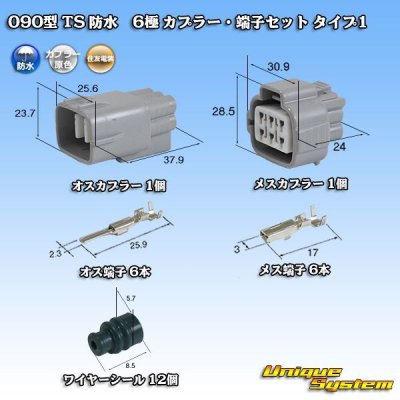 Photo1: [Sumitomo Wiring Systems] 090-type TS waterproof 6-pole coupler & terminal set type-1