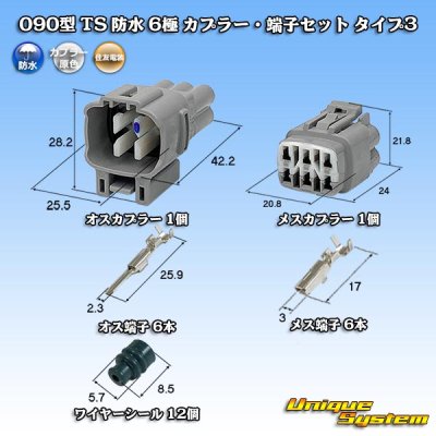 Photo1: [Sumitomo Wiring Systems] 090-type TS waterproof 6-pole coupler & terminal set type-3