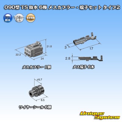 Photo5: [Sumitomo Wiring Systems] 090-type TS waterproof 6-pole female-coupler & terminal set type-2