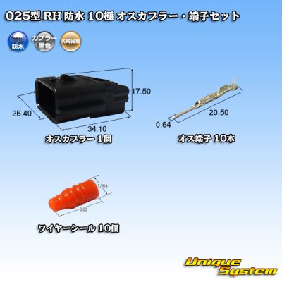 Photo1: [Yazaki Corporation] 025-type RH waterproof 10-pole male-coupler & terminal set