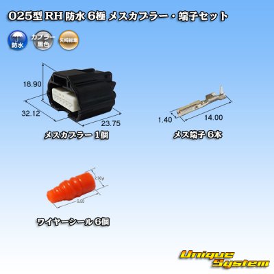 Photo1: [Yazaki Corporation] 025-type RH waterproof 6-pole female-coupler & terminal set