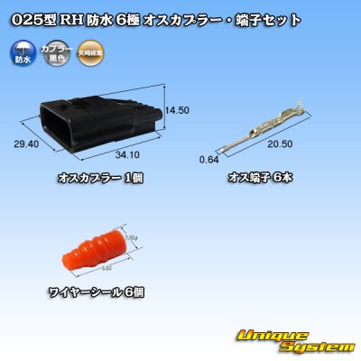 Photo1: [Yazaki Corporation] 025-type RH waterproof 6-pole male-coupler & terminal set