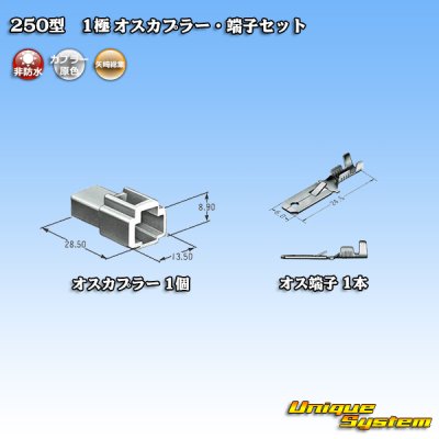 Photo4: [Yazaki Corporation] 250-type CN (A) non-waterproof 1-pole male-coupler & terminal set