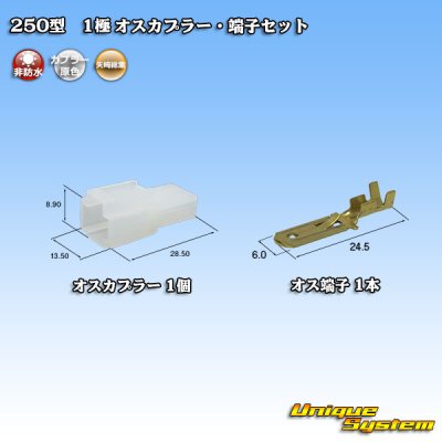 Photo1: [Yazaki Corporation] 250-type CN (A) non-waterproof 1-pole male-coupler & terminal set