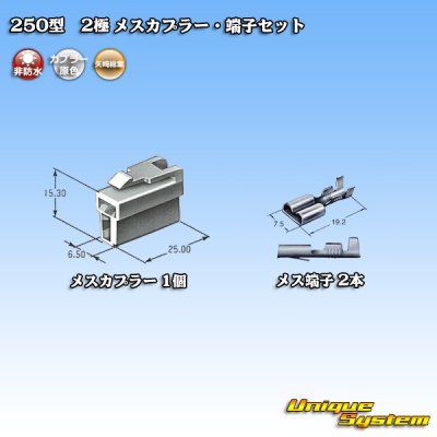 Photo4: [Yazaki Corporation] 250-type CN (A) non-waterproof 2-pole female-coupler & terminal set