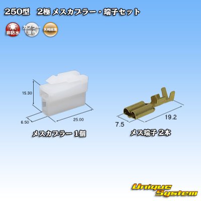 Photo1: [Yazaki Corporation] 250-type CN (A) non-waterproof 2-pole female-coupler & terminal set