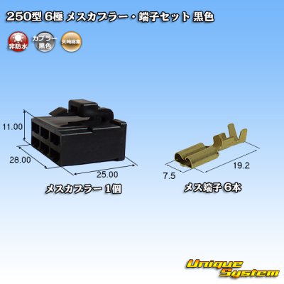 Photo1: [Yazaki Corporation] 250-type CN (A) non-waterproof 6-pole female-coupler & terminal set (black)