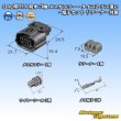 Photo6: [Sumitomo Wiring Systems] 040-type HX waterproof 3-pole female-coupler & terminal set with retainer type-2 rib-difference (6)