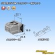 Photo5: [Sumitomo Wiring Systems] 090-type NS non-waterproof 6-pole female-coupler & terminal set (5)