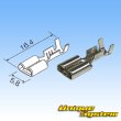 Photo4: [Sumitomo Wiring Systems] 187 + 250-type non-waterproof micro ISO relay connector coupler & terminal set (4)