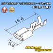 Photo4: [Sumitomo Wiring Systems] 187 + 250-type non-waterproof micro ISO relay connector 187-type female-terminal (4)