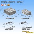 Photo8: [Sumitomo Wiring Systems] 187-type TS non-waterproof 10-pole coupler & terminal set (8)