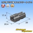 Photo4: [Sumitomo Wiring Systems] 187-type TS non-waterproof 2-pole male-coupler type-1 (4)