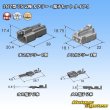 Photo8: [Sumitomo Wiring Systems] 187-type TS non-waterproof 2-pole coupler & terminal set type-1 (8)