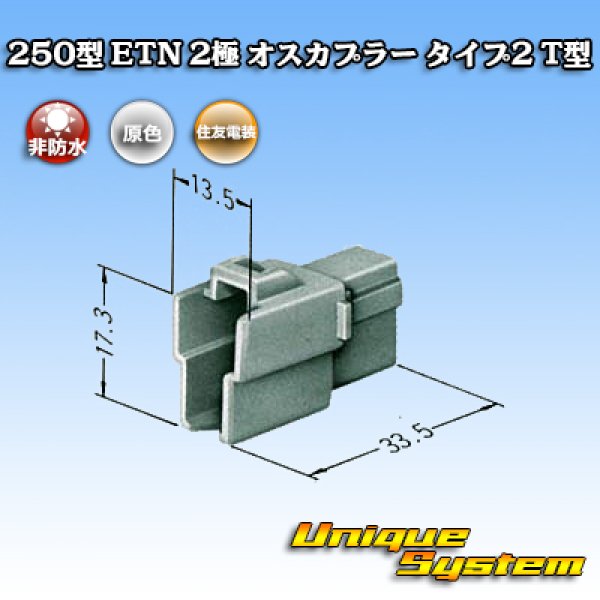 Photo1: [Sumitomo Wiring Systems] 250-type ETN non-waterproof 2-pole male-coupler type-2 T-type (1)