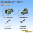 Photo5: [Sumitomo Wiring Systems] 250-type ETN non-waterproof 2-pole coupler & terminal set type-1 (5)