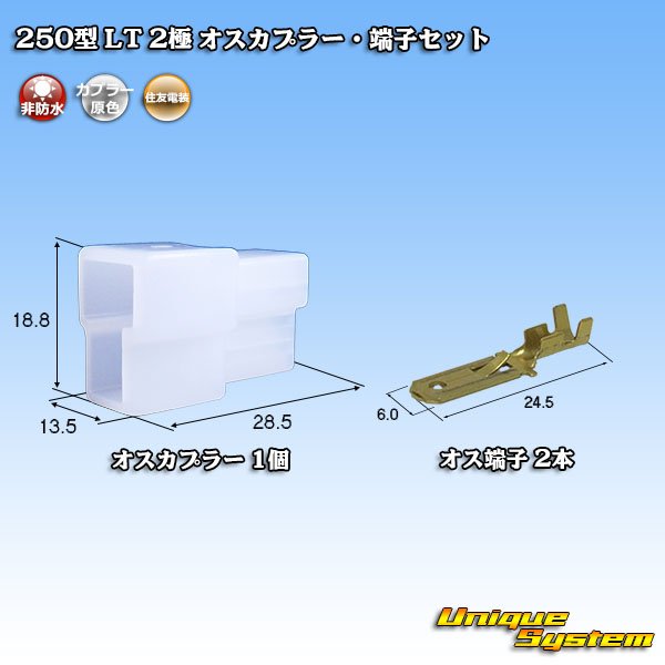 Photo1: [Sumitomo Wiring Systems] 250-type LT non-waterproof 2-pole male-coupler & terminal set (1)