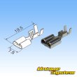 Photo6: [Sumitomo Wiring Systems] 187 + 250-type non-waterproof micro ISO relay connector coupler & terminal set (6)