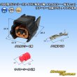 Photo1: [Sumitomo Wiring Systems] 090-type 62 series type-E waterproof 2-pole female-coupler & terminal set with retainer (P5) type-2 (black) (1)