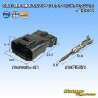 Photo1: [Sumiko Tec] CB01 waterproof 5-pole male-coupler connector (plug housing) & terminal set (1)