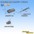 Photo5: [Sumitomo Wiring Systems] 090-type DL waterproof 2-pole male-coupler & terminal set type-1 (5)