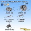 Photo5: [Yazaki Corporation] 090-type II series waterproof 8-pole coupler & terminal set type-1 (5)