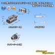 Photo5: [Yazaki Corporation] 110-type 58-connector W series waterproof 2-pole male-coupler & terminal set (with holder) (5)