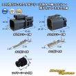 Photo1: [Yazaki Corporation] 110-type 58-connector W series waterproof 4-pole coupler & terminal set (with holder) (1)