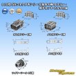 Photo5: [Yazaki Corporation] 110-type 58-connector W series waterproof 6-pole coupler & terminal set (with holder) (5)