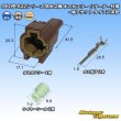 Photo1: [Yazaki Corporation] 060-type 62Z series waterproof 2-pole male-coupler with retainer & terminal set type-2 (brown) (1)