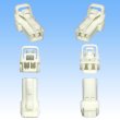 Photo3: [Yazaki Corporation] 060-type 62C non-waterproof 2-pole female-coupler (3)