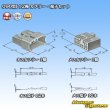 Photo7: [Yazaki Corporation] 090-type I non-waterproof 12-pole coupler & terminal set (7)