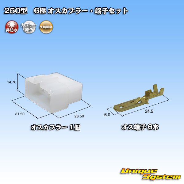 Photo1: [Yazaki Corporation] 250-type CN (A) non-waterproof 6-pole male-coupler & terminal set (1)