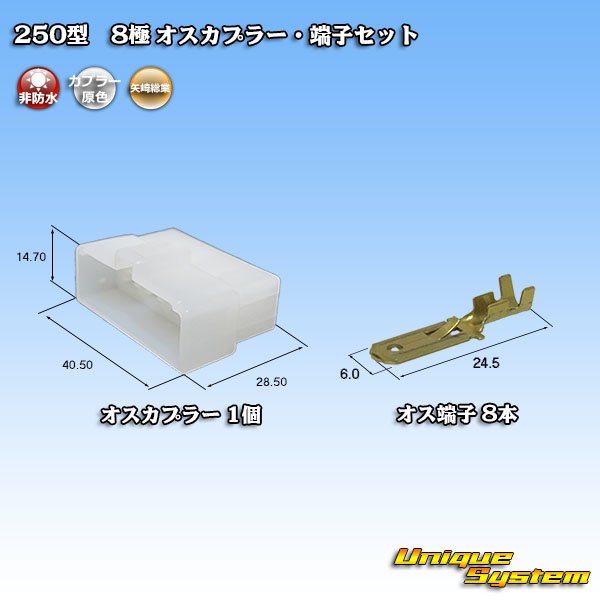 Photo1: [Yazaki Corporation] 250-type CN (A) non-waterproof 8-pole male-coupler & terminal set (1)